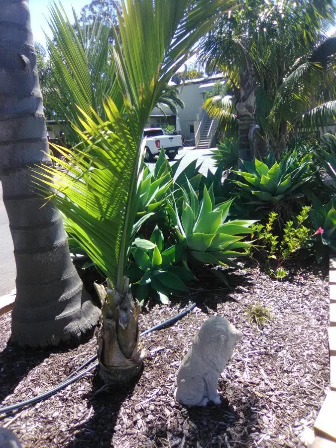 Seahorse Motel Cowes Luaran gambar